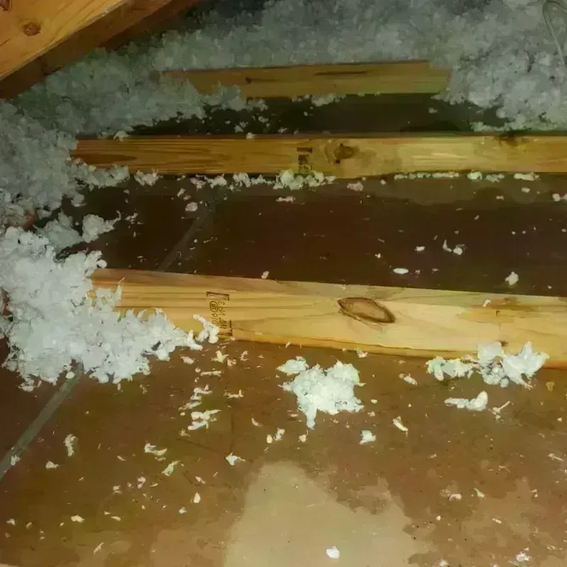 Attic Water Damage in Five Points, OH