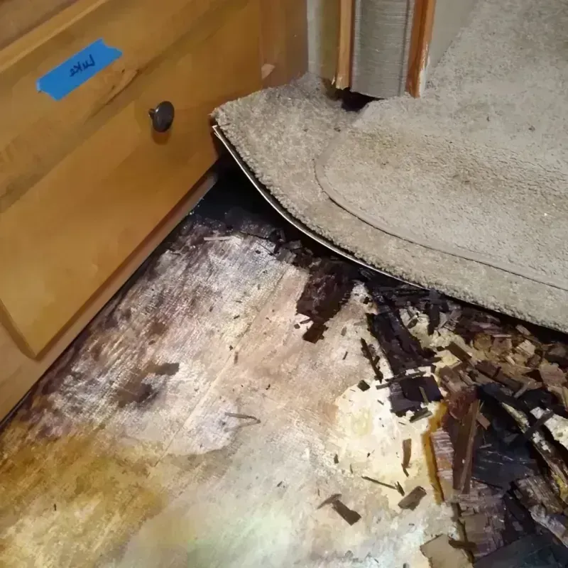 Wood Floor Water Damage in Five Points, OH